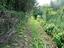 Immagine 14