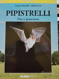 Pipistrelli: vita e protezione 