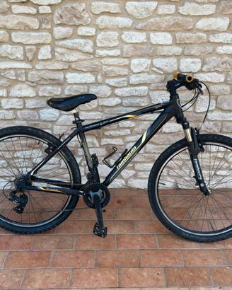 Mountain Bike Lombardo Sestriere 270