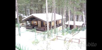 Chalet baita casa vacanza Camigliatello Silano