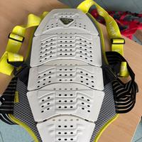 Paraschiena sci snowboard