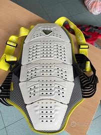 Paraschiena sci snowboard