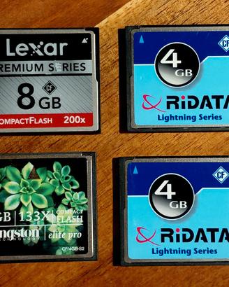 Compact Flash lotto da 20 gb