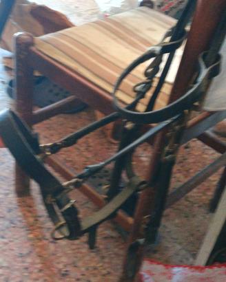  briglia per cavallo