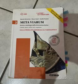Meta viarum