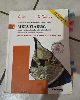 Meta viarum