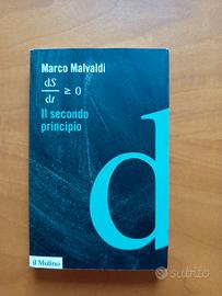 Il secondo principio Marco Malvaldi