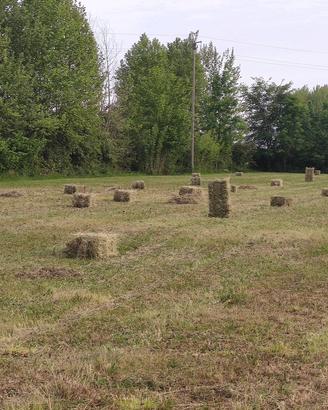 fieno ed erba medica in ballette 2026