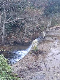 I sughereta zona Calangianus