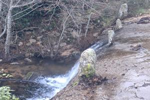 I sughereta zona Calangianus