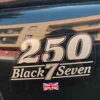 Mash Black Seven 250 - 2018