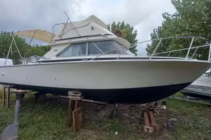 Bertram 28 Fly Diesel Linea D'asse