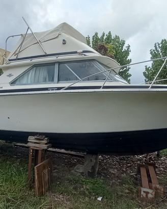 Bertram 28 Fly Diesel Linea D'asse