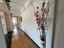 casa-abitabile-e-panoramica