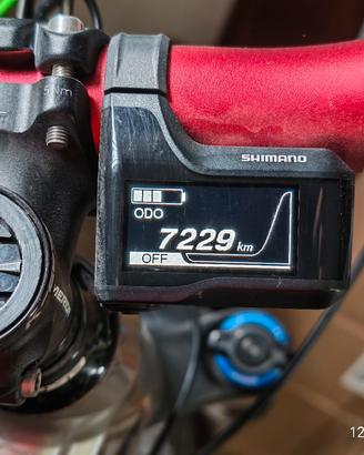 motore steps Shimano e8000