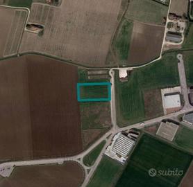 Immobile in asta di 7046 m² a Asigliano Veneto