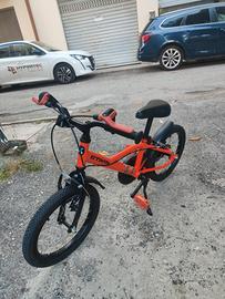 bicicletta 