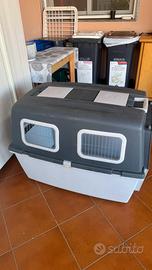 TRasportino per cane