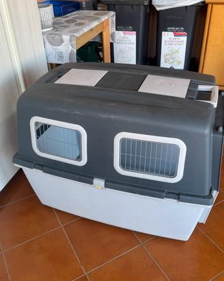 TRasportino per cane