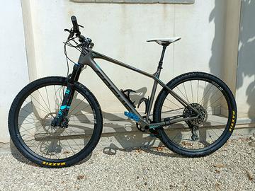 MTB FOCUS RAVEN MAX 29 L