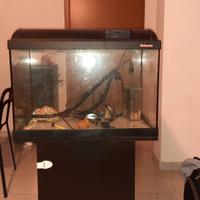 acquario askoll 70 litri con mobile e accessori