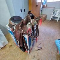 Cavallo, sella americana