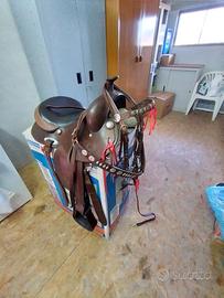 Cavallo, sella americana