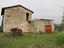 Immagine 9