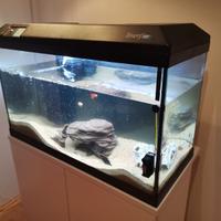 Acquario da 130 litri - modello Tenerif 88 
