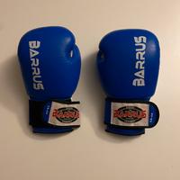 Guantoni Boxe barrus