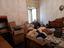 Immagine 14