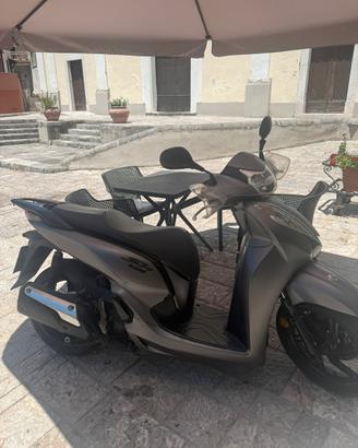 SH 300