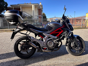 Suzuki Gladius 650 anno 2010