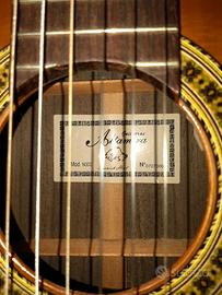 Chitarra altamira n300