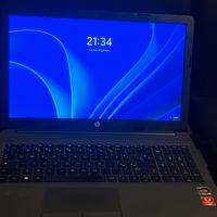 HP 255 G7 gray Notebook 39.6 cm (15.6") 1920 x 10