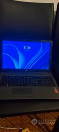 HP 255 G7 gray Notebook 39.6 cm (15.6") 1920 x 10