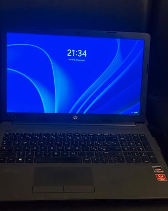 HP 255 G7 gray Notebook 39.6 cm (15.6") 1920 x 10
