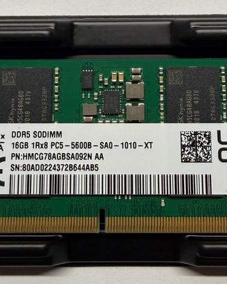 Modulo 16Gb DDR5 Sodimm