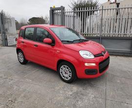Fiat Panda 1.2 69Cv EasyPower Lounge Km0