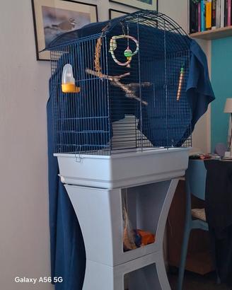 gabbia per pappagalli