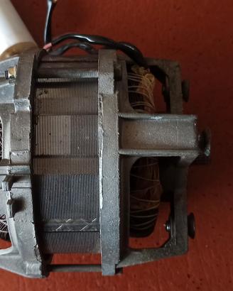 Motore elettrico macchinetta prato 220 Vac