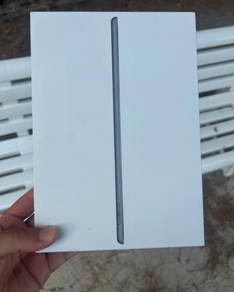 Ipad8