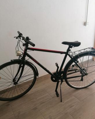bicicletta da uomo 
