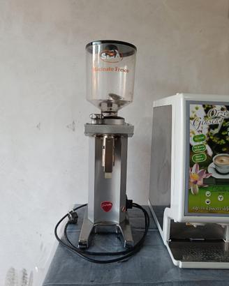 Macinacaffè Eureka professionale – Top di gamma