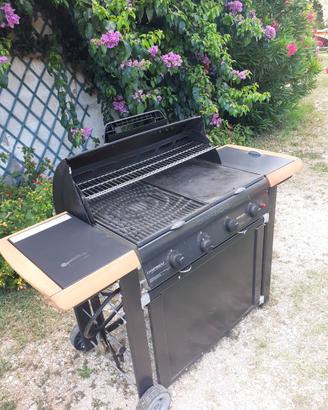 Barbecue a gas