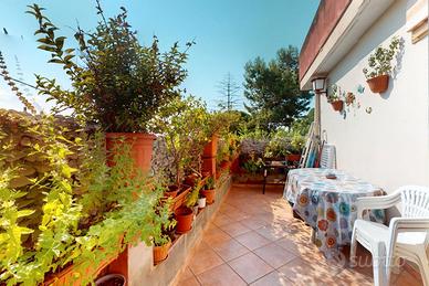 Semindipendente con terrazza a livello