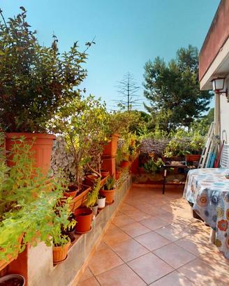 Semindipendente con terrazza a livello