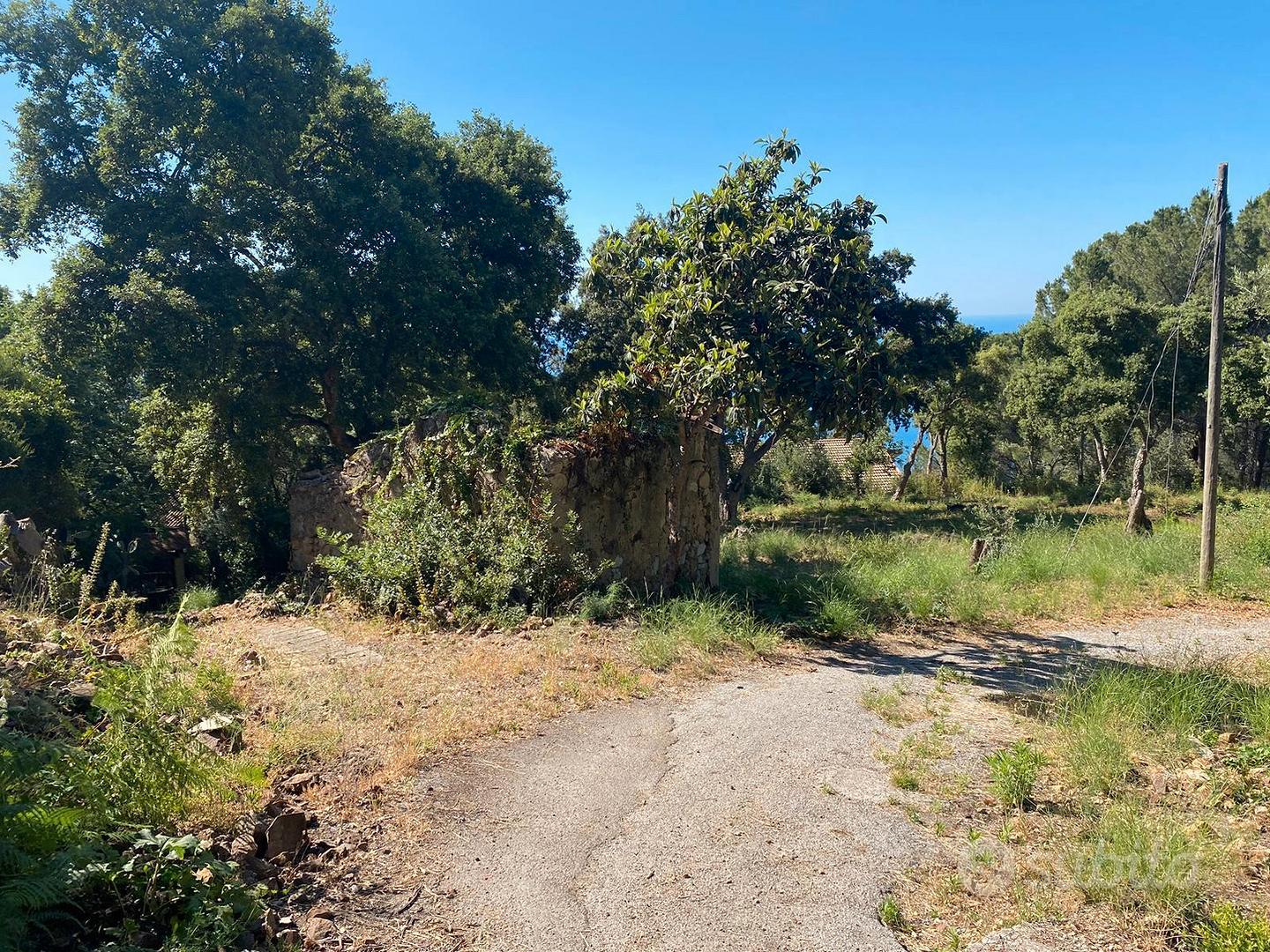 Terreno immerso nel verde con progetto approvato - Vista 2