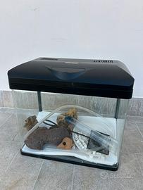 Acquario amtra 40lt