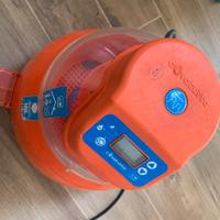 Incubatrice Novital 16L automatica